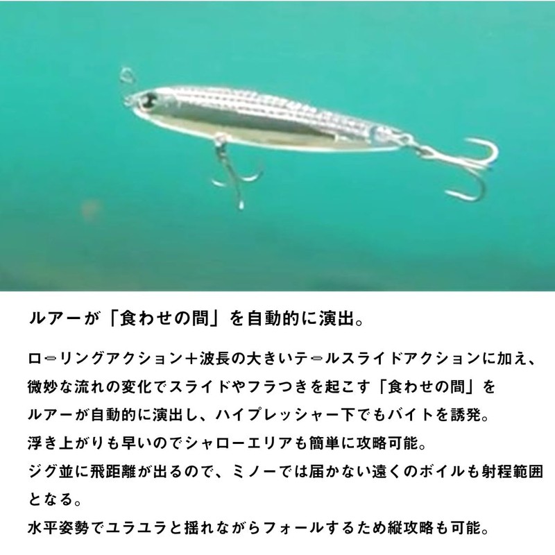 DAIWA 85S-LI Chivas Lure, Moissanite Switch Hitter Lure, Li Nighttime