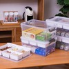Citylife 17 QT Storage Box with Removable Tray Closet Organizers