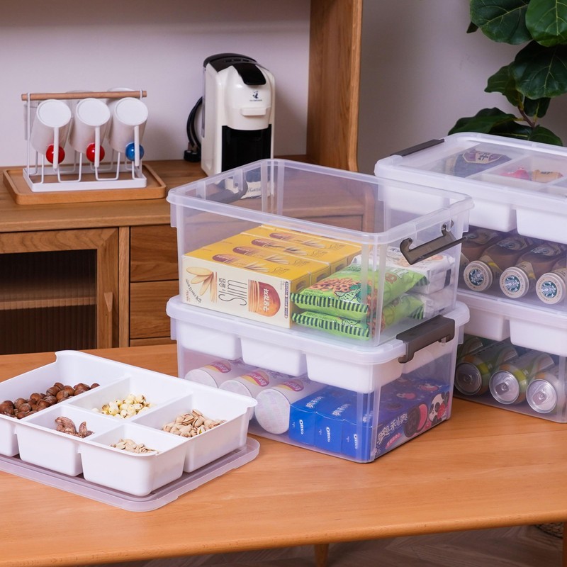 Citylife 17 QT Storage Box with Removable Tray Closet Organizers