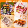 Divided Serving Tray with Lid and Handle - Snackle Box