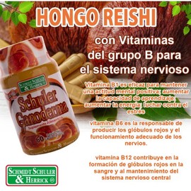 Schuler Shmidt & Herrick GANODERMA CAPS Mezcla de Hongos Reishi & Noni & Shitake & Maitake & Chaga + Noni