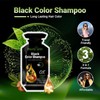 3 in 1 Hair Color Dye Black Pouch 30mlx10p +
