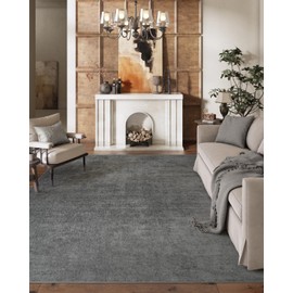 DEXI Area Rug 8x10 for Living Room, Washable Non Slip Neutral Modern Abstract Rugs, Soft Thin Large Indoor Floor Carpet for Dining Laundry Bedroom Home Office Decor, Grey