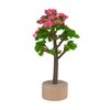 Miniature Tree Flowering 3.5 x 5.5 cm