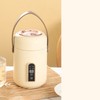 Mini Rice Cooker Efficient Heating Insulated Portable Multifunction Soup Porridge