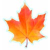 Eureka Photo Image of A Fall Leaf, 5" Paper Cut-Outs,