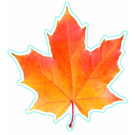 Eureka Photo Image of A Fall Leaf, 5" Paper Cut-Outs, Package of 36
