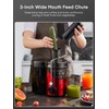 Juicer Machines, Juilist 3" Wide Mouth Juicer Extractor Max Power