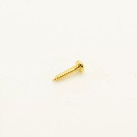 Unbranded Gold Steel Tuner Screws 2mm x 9.5mm Set of 12