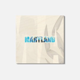 Unbranded Maryland USA State Nature Slogan 4'' X 4'' Square Wooden Coaster