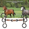 Snaffle Western Stainless Steel Black Snaffle Bit Training Stiff Bit