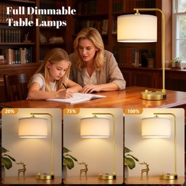 Gold Bedside Lamps Set of 2, Fully Dimmable Lamps for Night Stands, USB A+C