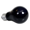 Zoo Med Moonlight Reptile Bulb