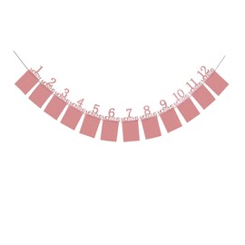 1st Birthday Photo Banner for Baby from Newborn to 12 Months, First Birthday Decorations for Baby Girls One Year Old Birthday Party Baby Shower Decoration,Rose Gold