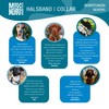 Max & Molly Gotcha! Dog Collar with Smart ID, Padded