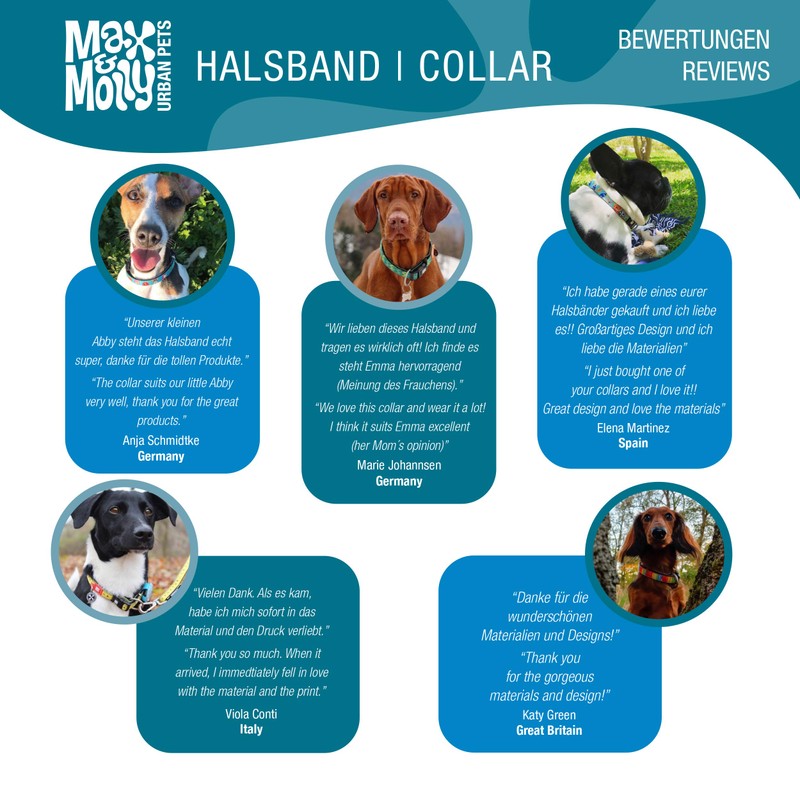 Max & Molly Gotcha! Dog Collar with Smart ID, Padded