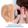 SimCoach Modelo de oreja de acupuntura, réplica de oreja artificial