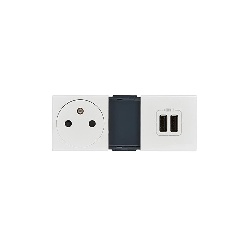 Legrand Mosaic leg99605 Power Outlet with 2 USB Charger, White
