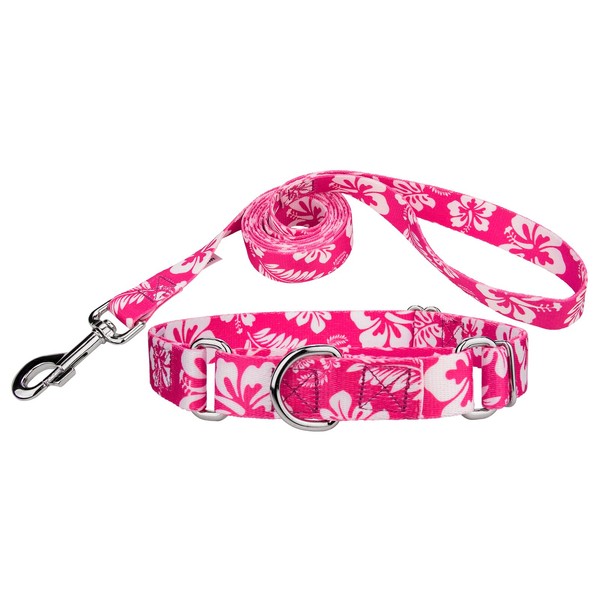 Country Brook Design - Pink Hawaiian Martingale Dog Collar & Leash - Small