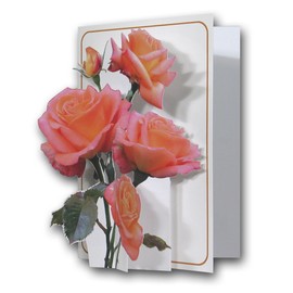 The Pictoria Press Pink Roses - a 3D Pop Up Greeting Card from