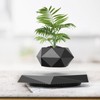 Leekimid Levitating Plant Pot, Magnetic Levitation Flower Pot Suspension Floating