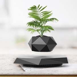 Leekimid Levitating Plant Pot, Magnetic Levitation Flower Pot Suspension Floating Plant Succulents, Air Bonsai Potted Plant for Home Decoration, Living Room, Office, Desk (Black)