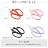 Sakagen 20382 Fresh Flower Shears, Mini Creation F, Fluorine Coating,