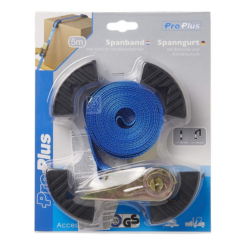 PAT Europe B.V. 1 x lashing strap with ratchet, 5