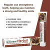 Herbodent® Herbal Clove Toothpaste - 6.53 oz Pack of 6