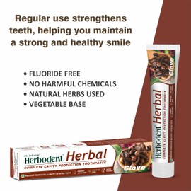 Herbodent® Herbal Clove Toothpaste - 6.53 oz Pack of 6 | Natural Herbs - Clove, Babool, Bakul and More | Daily use Toothpaste