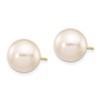14k Yellow Gold 10-11mm White Freshwater Cultured Pearl Stud Earrings