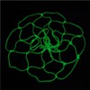 AIMALL Glow-in-The-Dark Basketball Net, High-Quality Fluorescent Light-Up Hoop Net, Durable