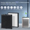 XBGG HAP602 Replacement Filter Compatible with ECOSELF Air Purifier