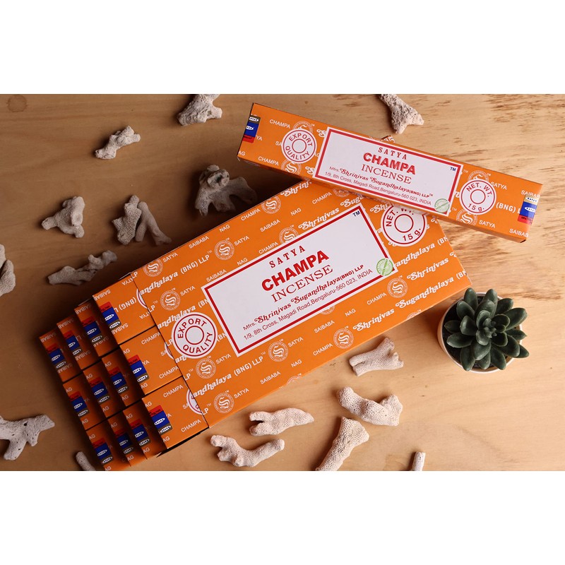 EARTH Satya Champa Incense Sticks 15 GMS (Pack of 12)