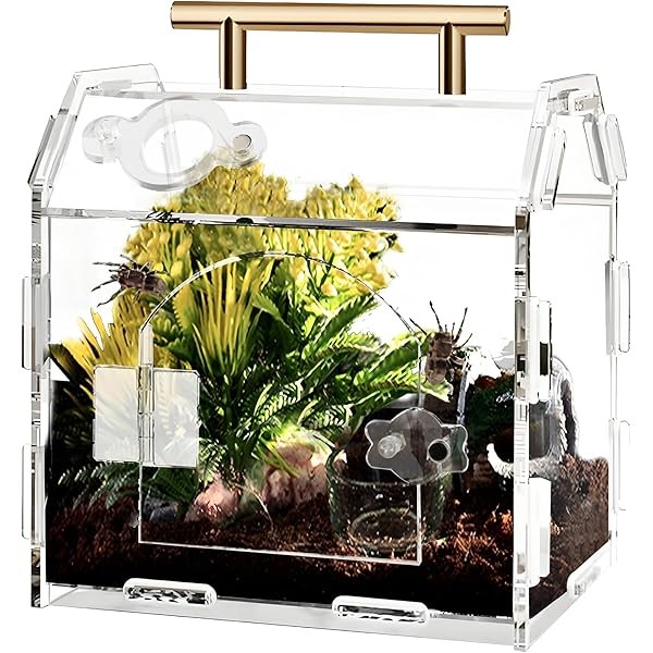 Jumping Spider Enclosure Acrylic Terrarium: Tarantula Enclosure with Front Opening