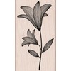 Hero Arts Etched Flower with Stem Woodblock Rubber Stamp