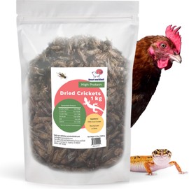 Dried Crickets (2.2 lbs) for Reptiles, Birds, and Small Pets - Natural Insect Food with Essential Nutrients - 1 kg