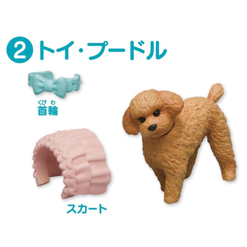 ania ania friends dog