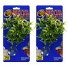 Zoo Med Laboratories Betta Plant Maple Leaf (2 Plants)