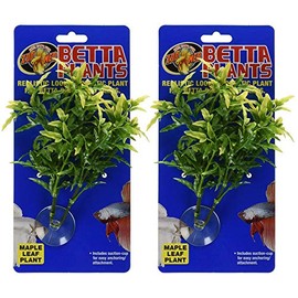 Zoo Med Laboratories Betta Plant Maple Leaf (2 Plants)