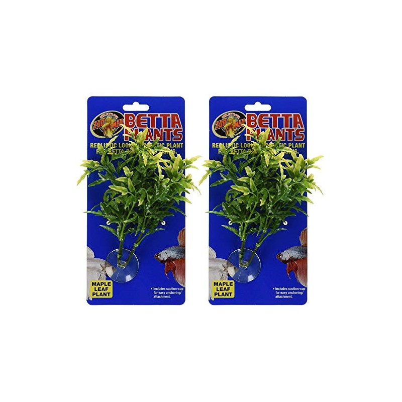 Zoo Med Laboratories Betta Plant Maple Leaf (2 Plants)