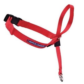 PetSafe Gentle Leader Headcollar, No-Pull Dog Collar – Perfect for Leash & Harness Training – Stops Pets from Pulling and Choking on Walks – Small, Red