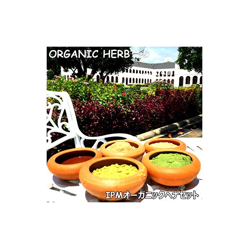 iPM Indigo 100 (Leaflet with