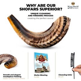 Shofar Horn Instrument – RAM Shofar Angels Musical Instrument – Half Polished/Natural (Full Set, 20"-22")