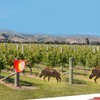 Animal Repellent USB Interface Charging Energy Saving Solar Powered Animal