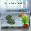 CAPASTEC Betta Fish Bed, Betta Leaf Bed, Plastic Betta Hammock,