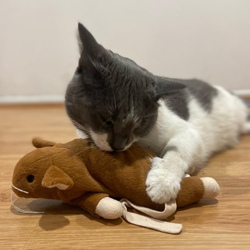SPOT Super Mouse Sam with Catnip - Lifelike Cat Toy,