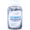 NatGel Niacinamida Resveratrol Omega 3 Antioxidante Avanzado para Piel, Energia