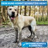 BluePet FellFein Dog Shampoo Sensitive & Odourless Made in Germany