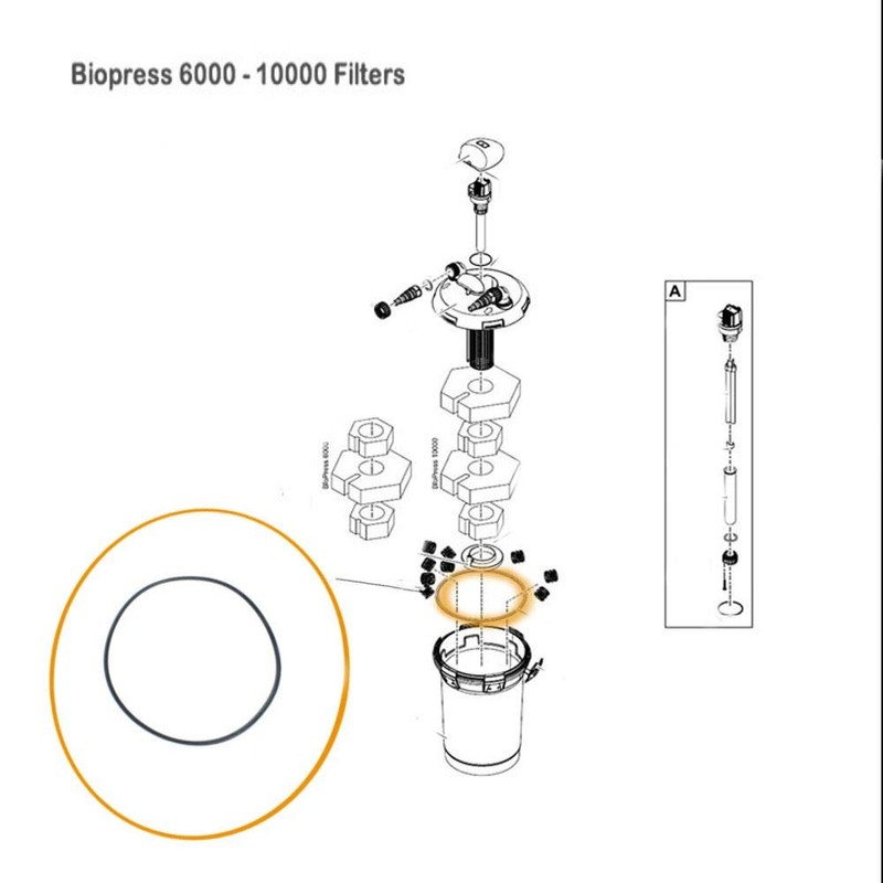 Replacement O-Ring for Biopress/PondoPress Part No. 28812 - Oase